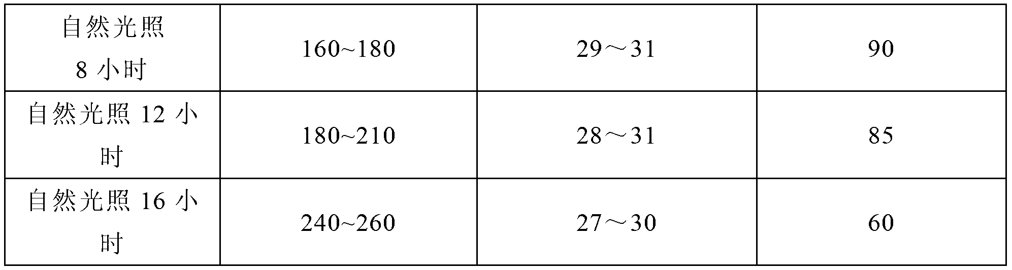 Method for cultivating American cockroaches