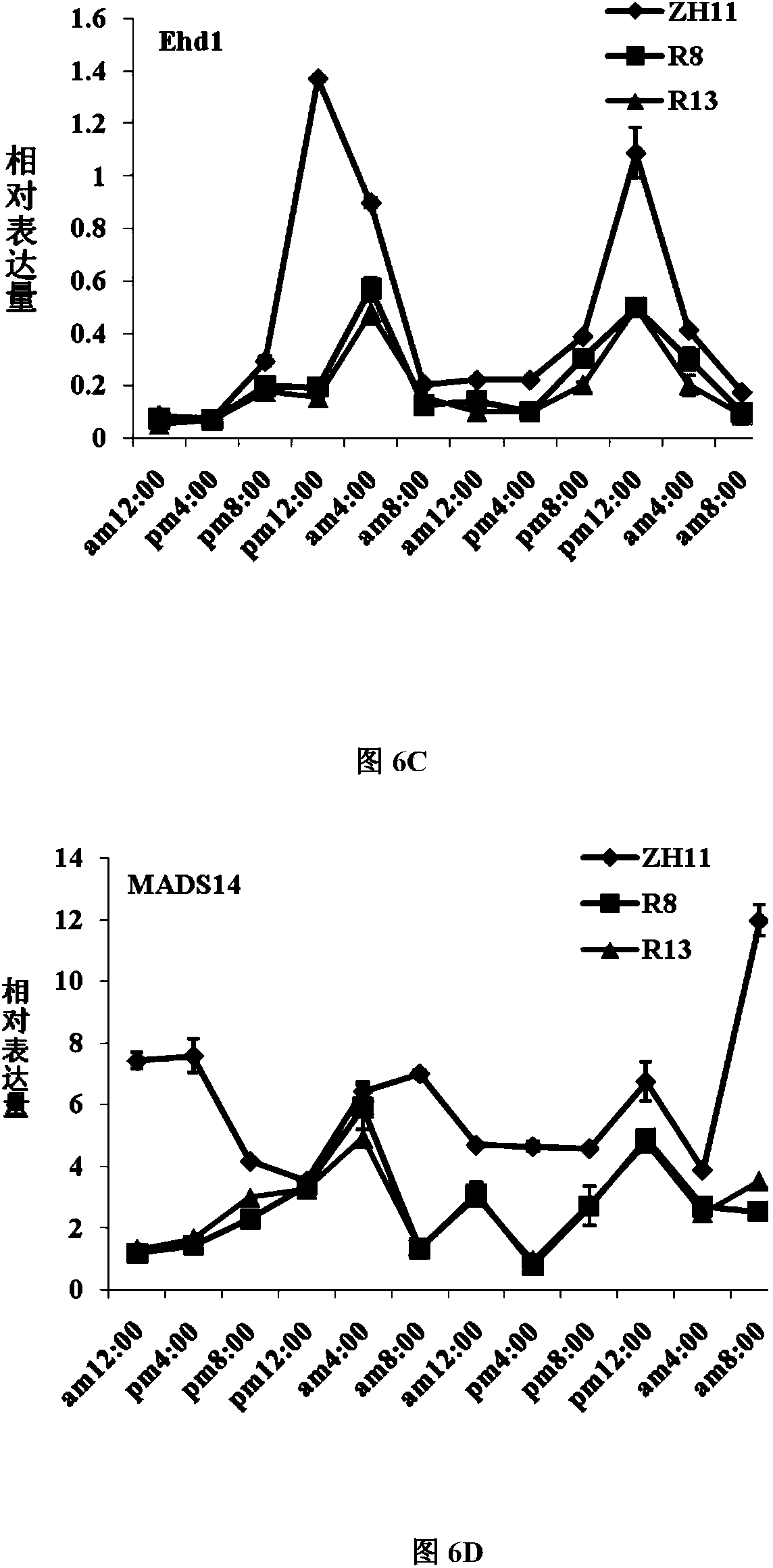 Application of histone methyltransferase SDG723 in regulation of heading period of rice