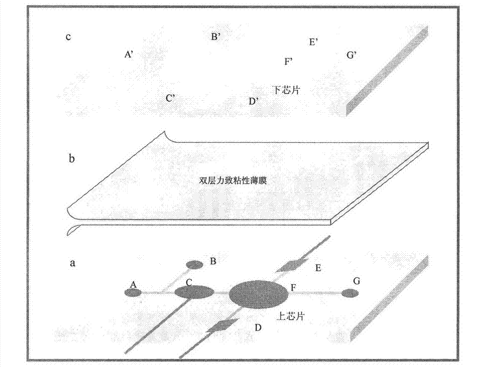 Environmental hazardous material monitoring and early warning system and its preparation method