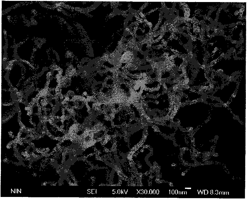 Method for preparing carbon nano-tubes by using biological product as catalyst precursor