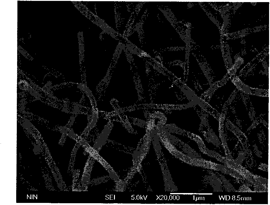 Method for preparing carbon nano-tubes by using biological product as catalyst precursor