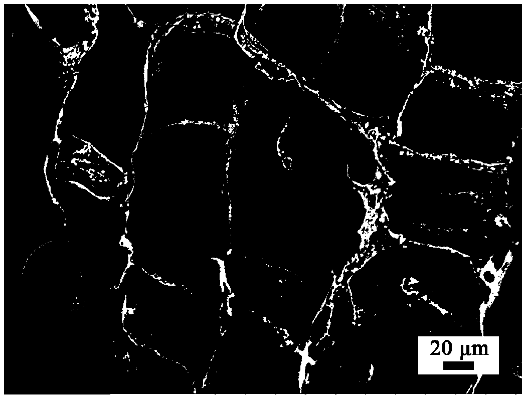 Cellulose/UiO-66-NH2 porous material capable of degrading organophosphate biochemical toxic agent and preparation method thereof