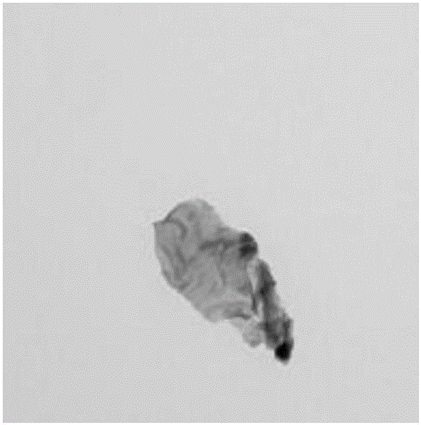 Preparation method and application of graphene-molybdenum disulfide composite material