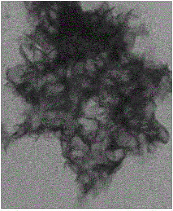 Preparation method and application of graphene-molybdenum disulfide composite material