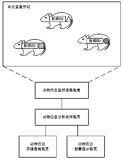 Experimental animal information management system and experimental animal individual identity distinguishing method