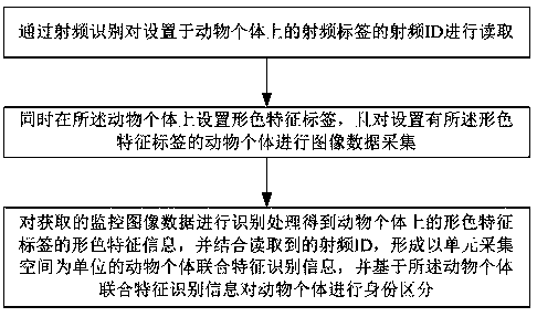 Experimental animal information management system and experimental animal individual identity distinguishing method