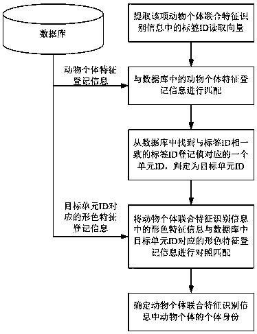 Experimental animal information management system and experimental animal individual identity distinguishing method