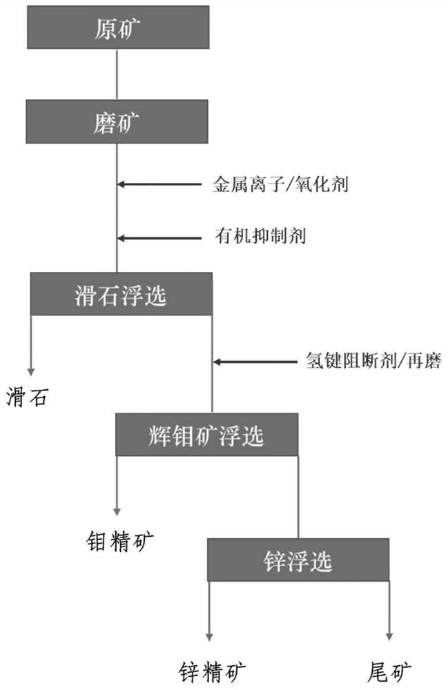 Flotation method for talc-containing molybdenum-zinc ore