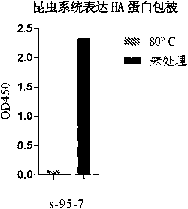 Antibody against hemagglutinin of influenza A H1N1 virus