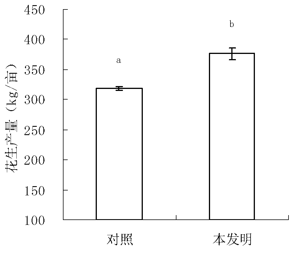 Fertilizer used for acidizing soil