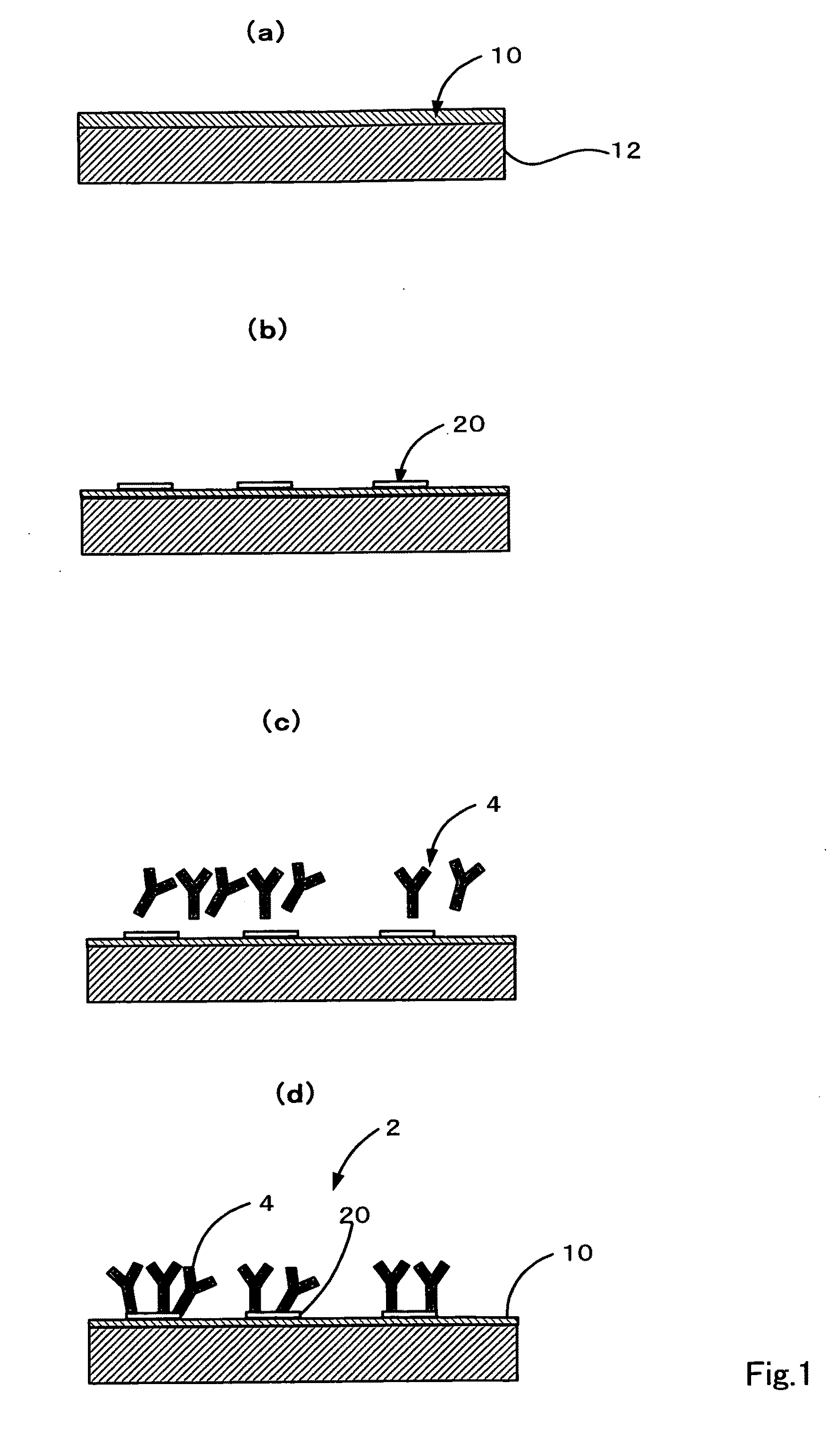 Method of producing solid-phase body having immobilized microobject and the use thereof