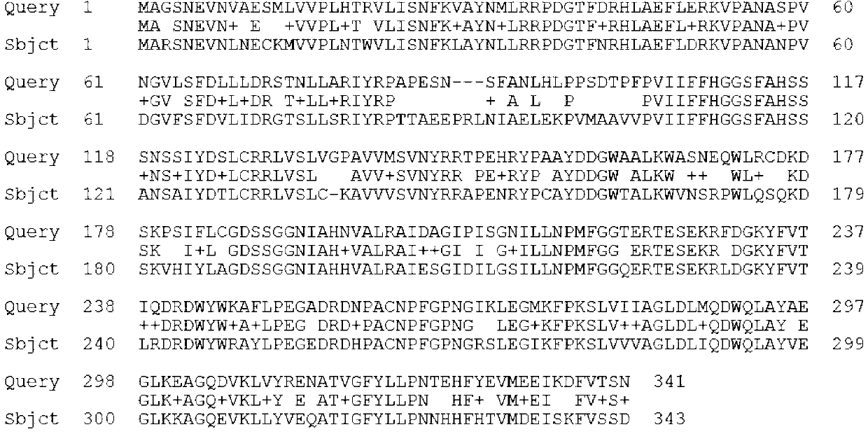 Agapanthus praecox gibberellin receptor APGID1b protein, and encoding gene and probe thereof