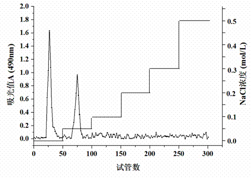 Novel Dictyophora rubrovolvata polysaccharide with immunocompetence, and preparation method and application thereof