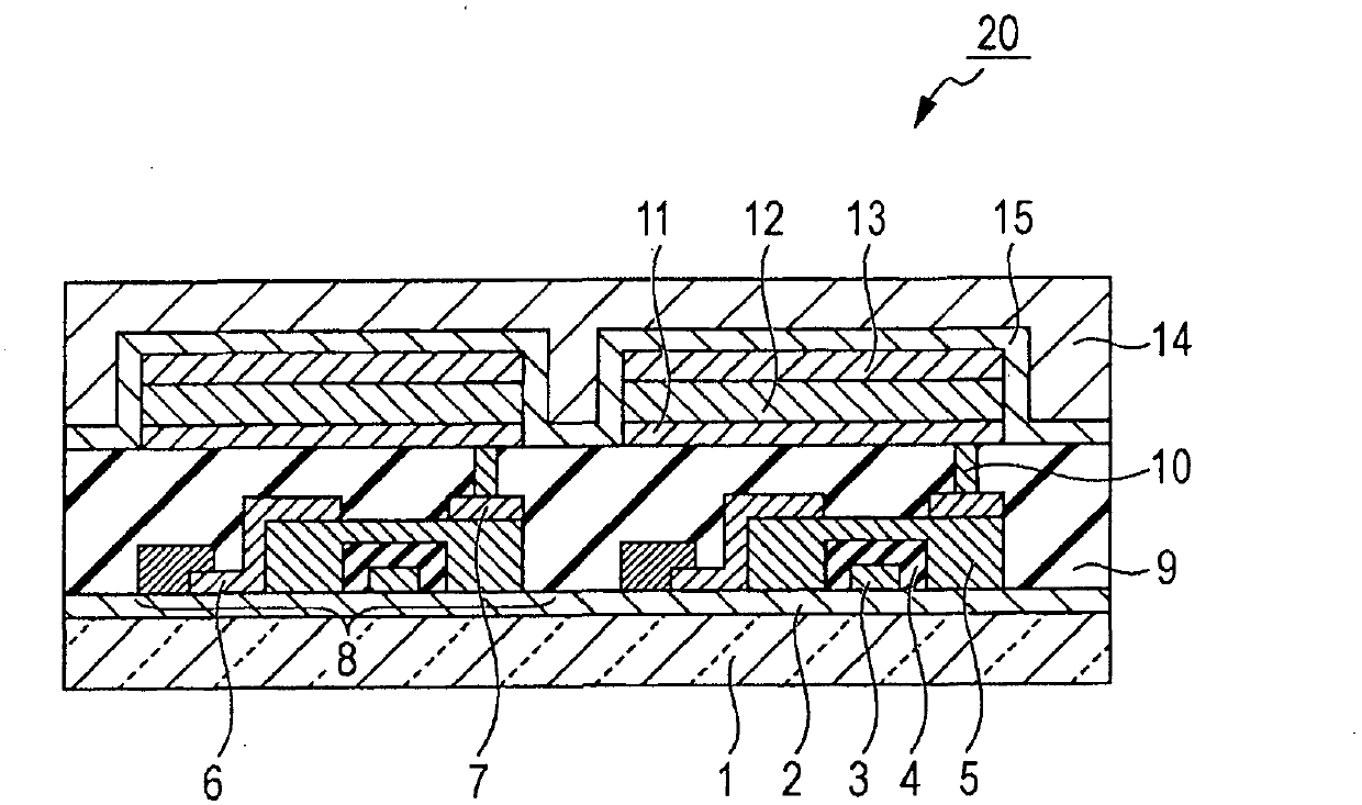 Organic compound, organic light-emitting device, and image display device