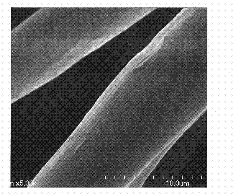 A kind of antibacterial treatment method of silk fiber or its fabric