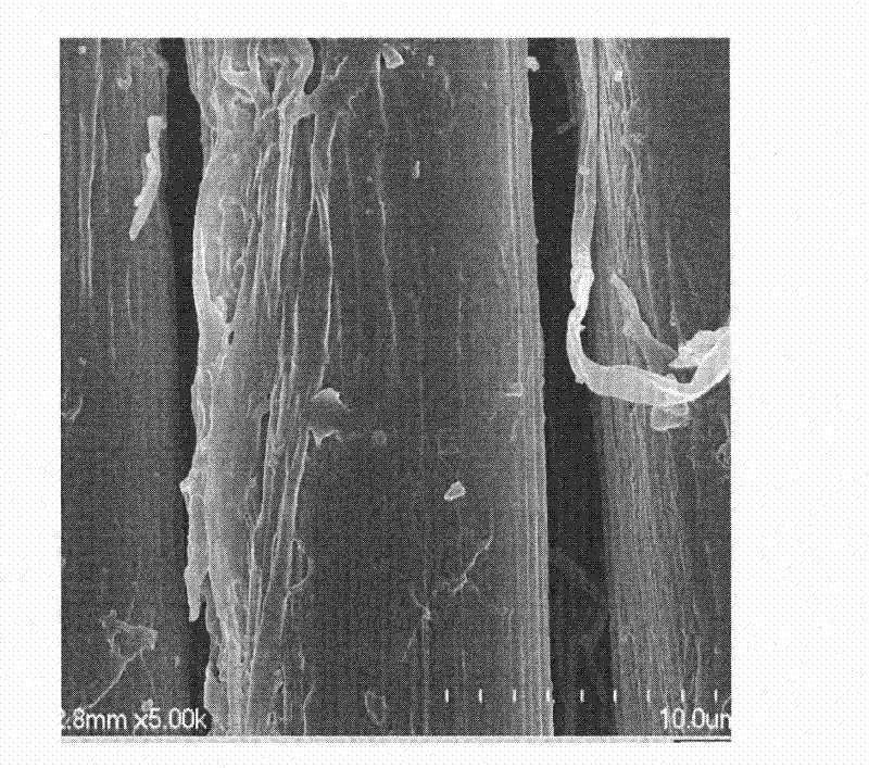 A kind of antibacterial treatment method of silk fiber or its fabric