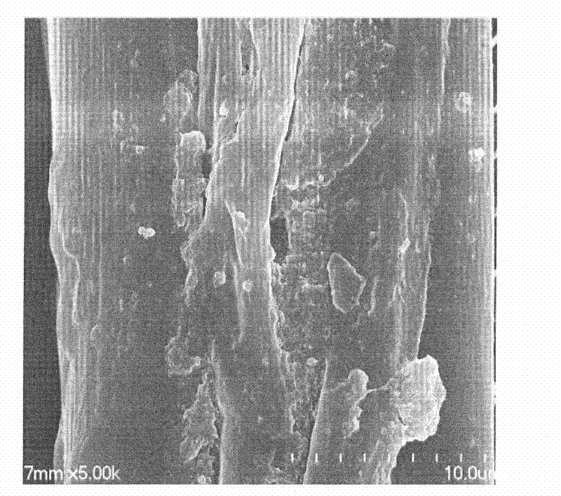 A kind of antibacterial treatment method of silk fiber or its fabric