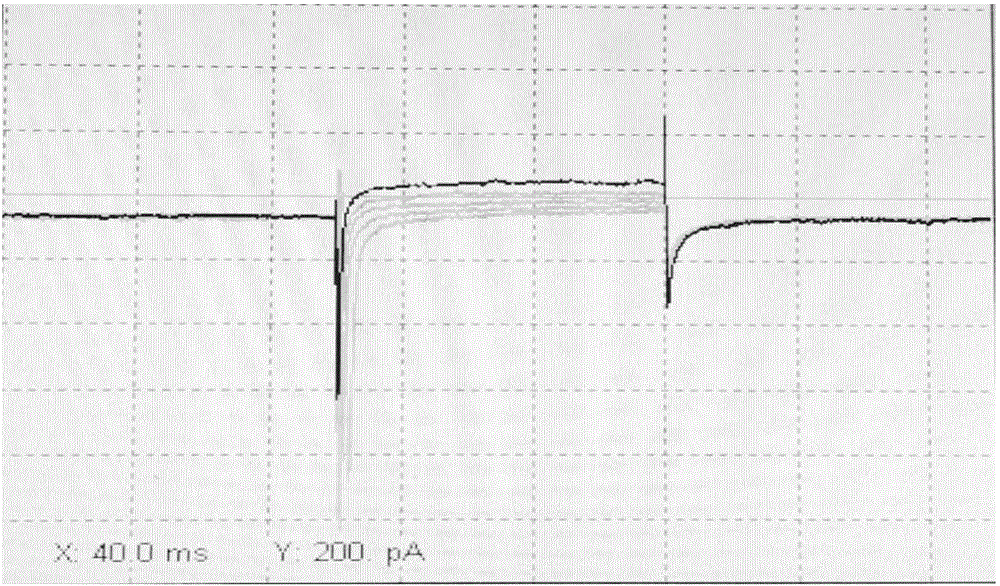 Measuring method for cell potential of bioengineering retina nerve scaffold