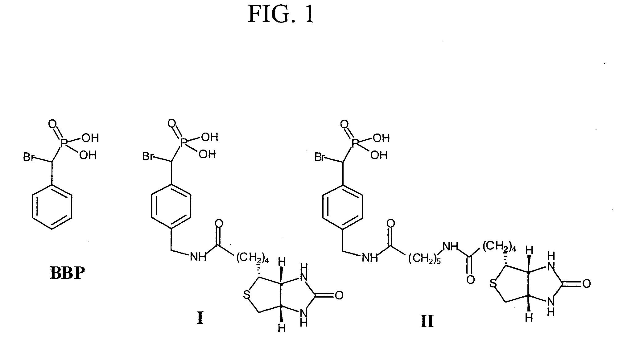 Activity-based probes for protein tyrosine phosphatases