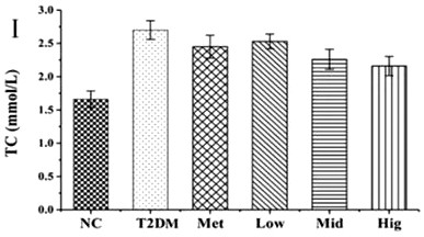 A natural hypoglycemic preparation that exerts hypoglycemic effect by regulating the balance of intestinal flora