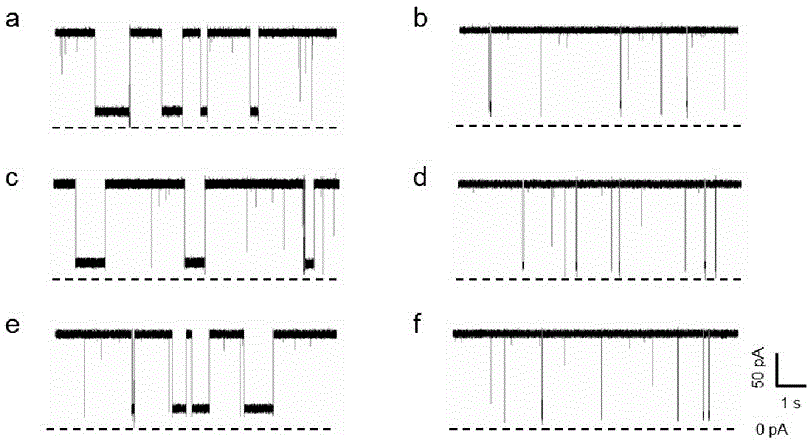 LNA probe for detecting KRAS gene mutation and detection method