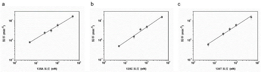 LNA probe for detecting KRAS gene mutation and detection method