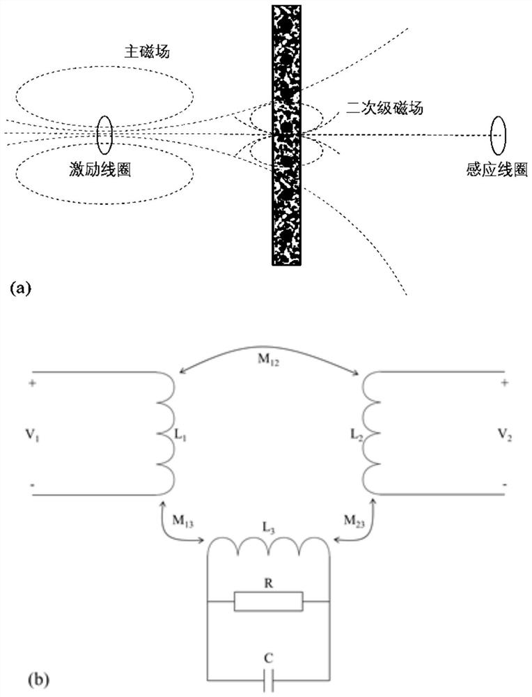 Biological tissue blood flow real-time monitoring system and simulation monitoring system based on magnetic induction phase displacement