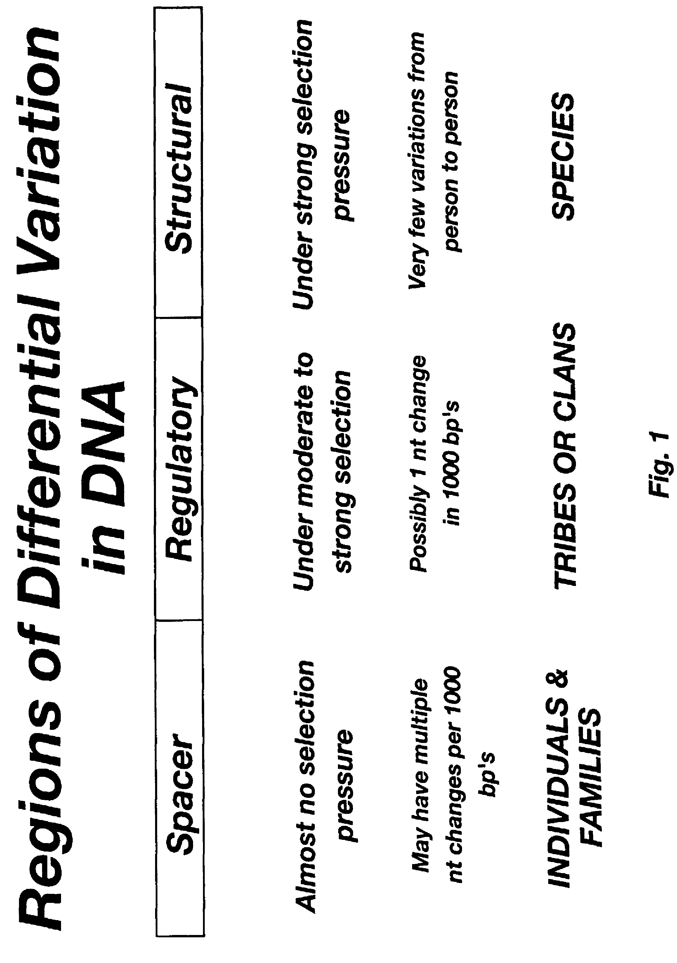 Method for molecular genealogical research