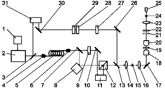 Polarization interference multi-element CARS (Coherent Anti-stokes Raman Scattering) microscopic imaging method