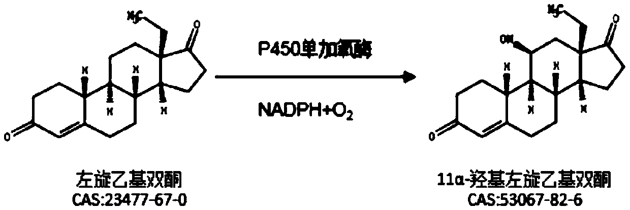 Method for reducing impurities in ethyl diketone 11a hydroxylation process by using mixed solvent