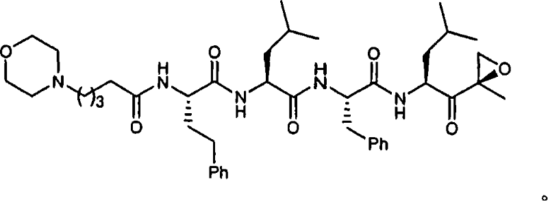 Compounds for proteasome enzyme inhibition