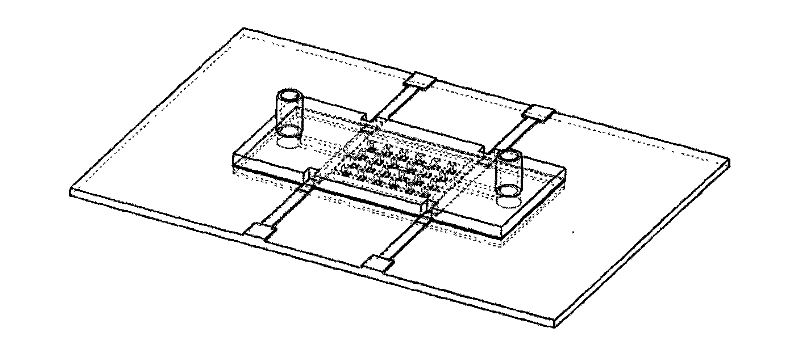 Cell electrofusion chip device based on columnar microelectrode array and electrofusion method