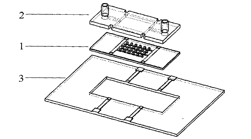 Cell electrofusion chip device based on columnar microelectrode array and electrofusion method