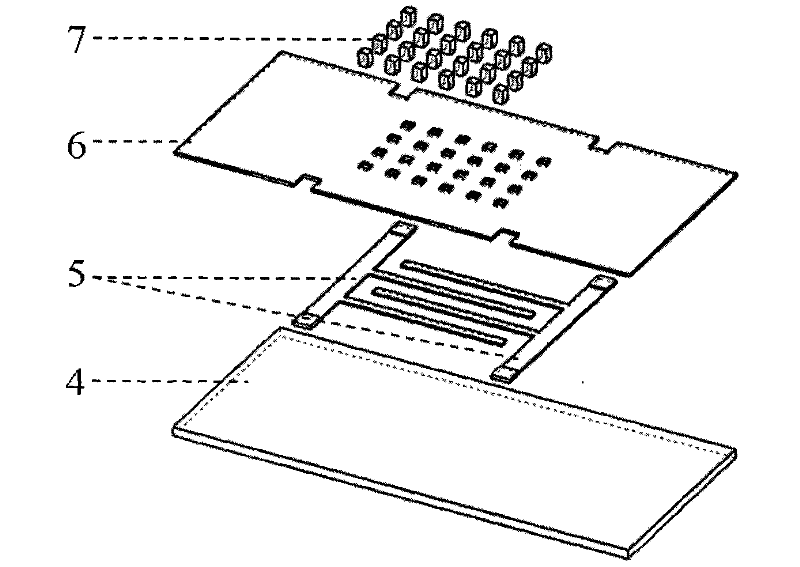 Cell electrofusion chip device based on columnar microelectrode array and electrofusion method