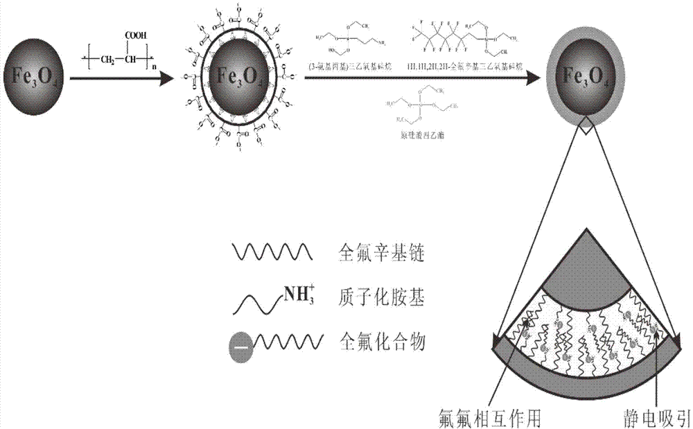 Magnetic nano composite capable of absorbing perfluorochemicals and preparation method thereof