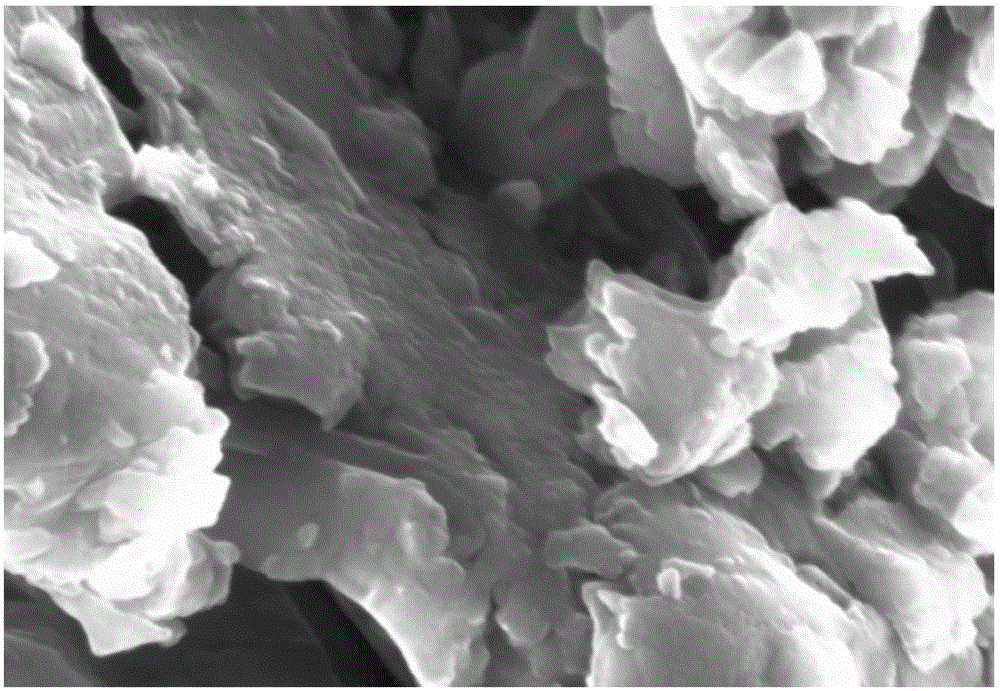 Imine bond linked covalent organic framework (COF)