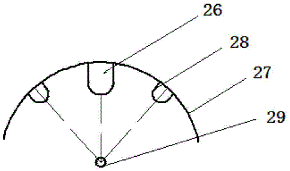 A kind of multi-frequency ultrasonic tumor therapy head