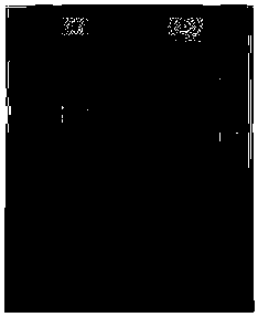 Detection method for authenticating galvanizing method of galvanized steel wire by coating iron content