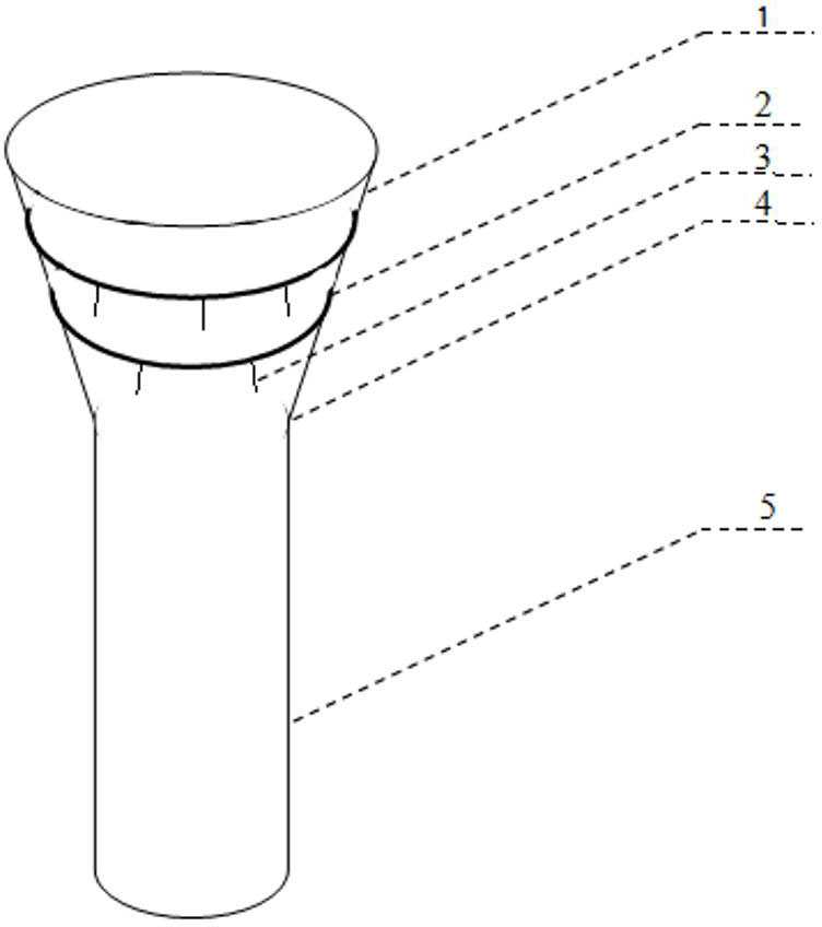 Duodenal internal covering membrane made of degradable biocompatible material and application thereof