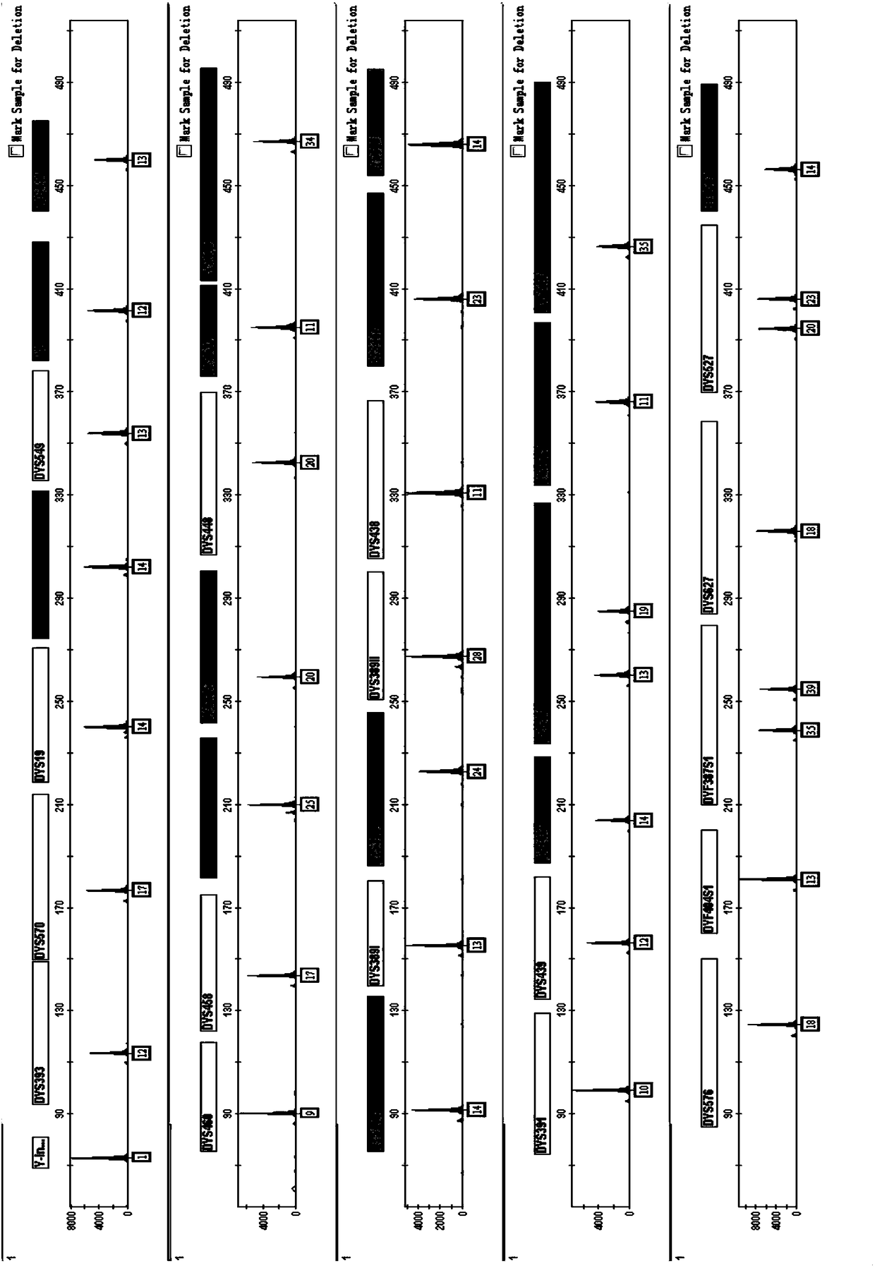 Fluorescent multiplex amplification system of 37 Y-STR gene locuses and Y-Indel, kit and application thereof