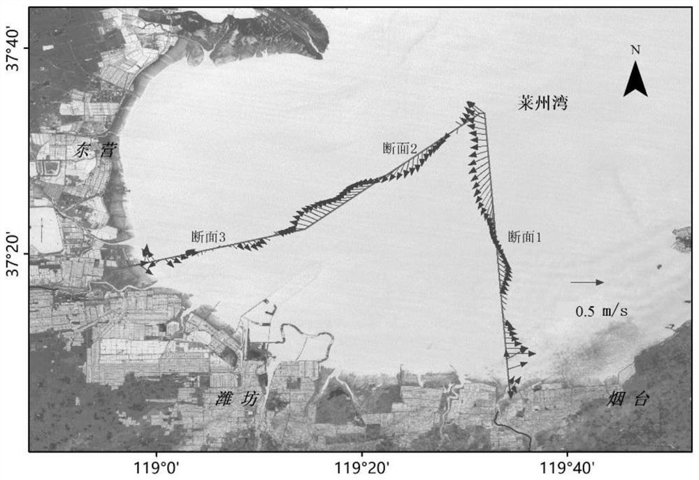 A method and system for determining the transport flux of pollutants in a sea area section