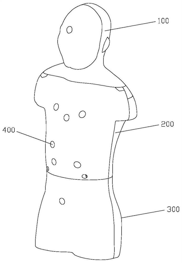 Human body phantom for radiation dose measurement and preparation method and application thereof