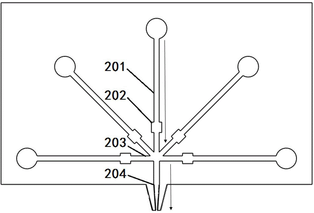 Printing spray head device based on microfluidic chip