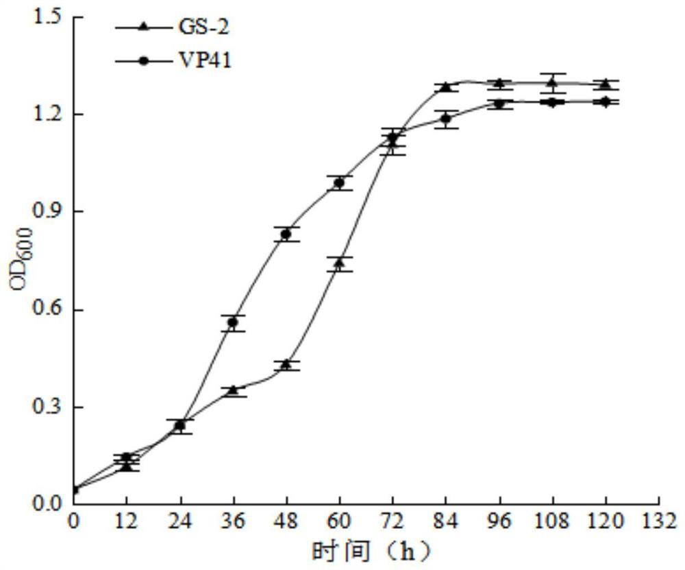 A kind of esterase-producing malic acid-lactic acid fermentation lactic acid bacteria strain and application thereof