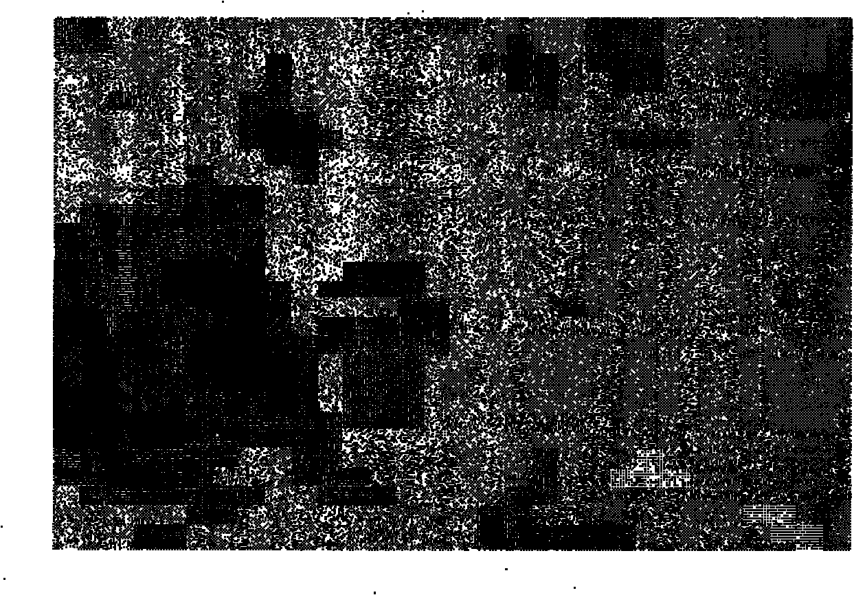 Magnesium-base copper-fiber pumice iron-barium oxide composite and preparation method thereof