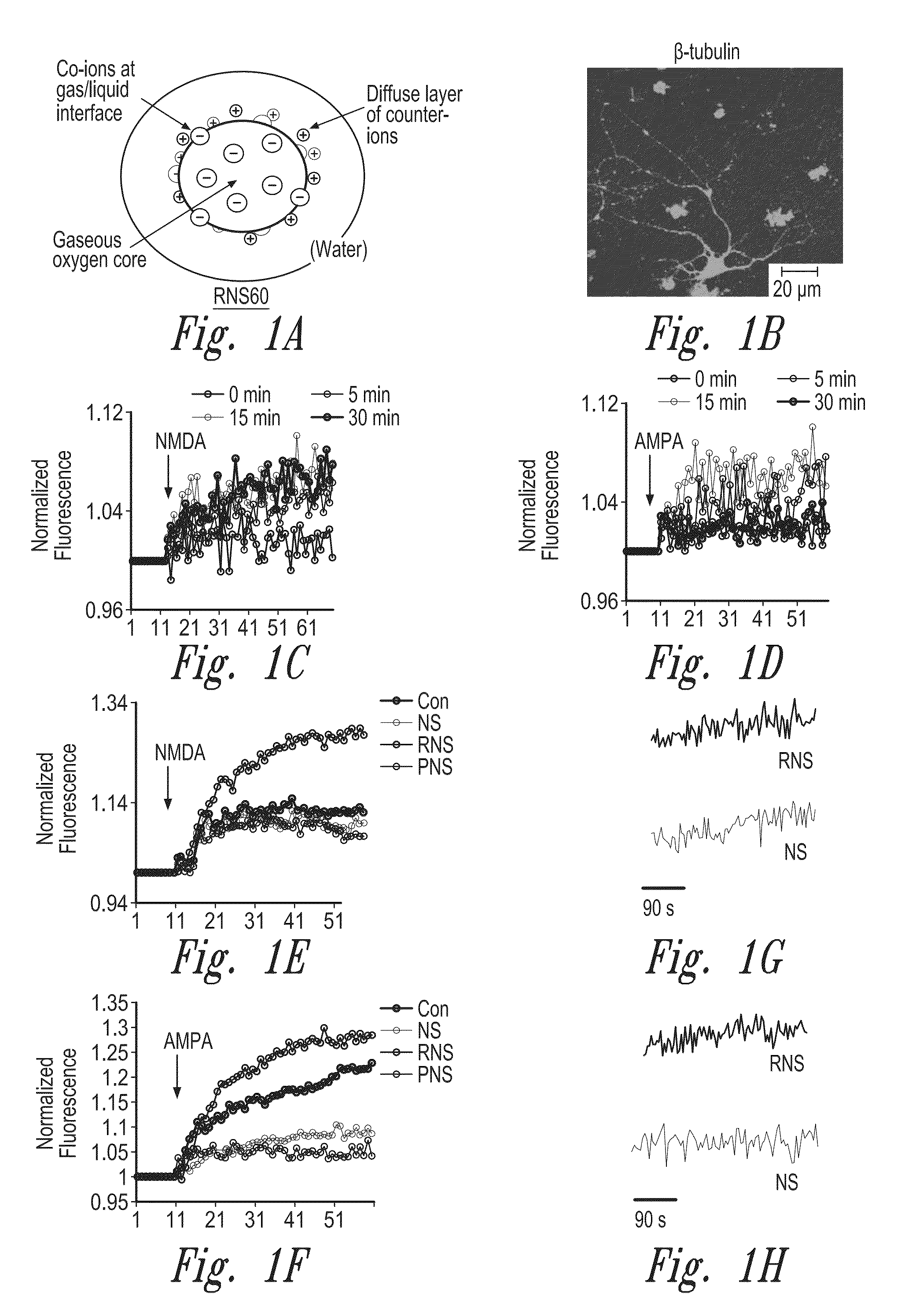 Compositions and methods for upregulating hippocampal plasticity and hippocampus-dependent learning and memory