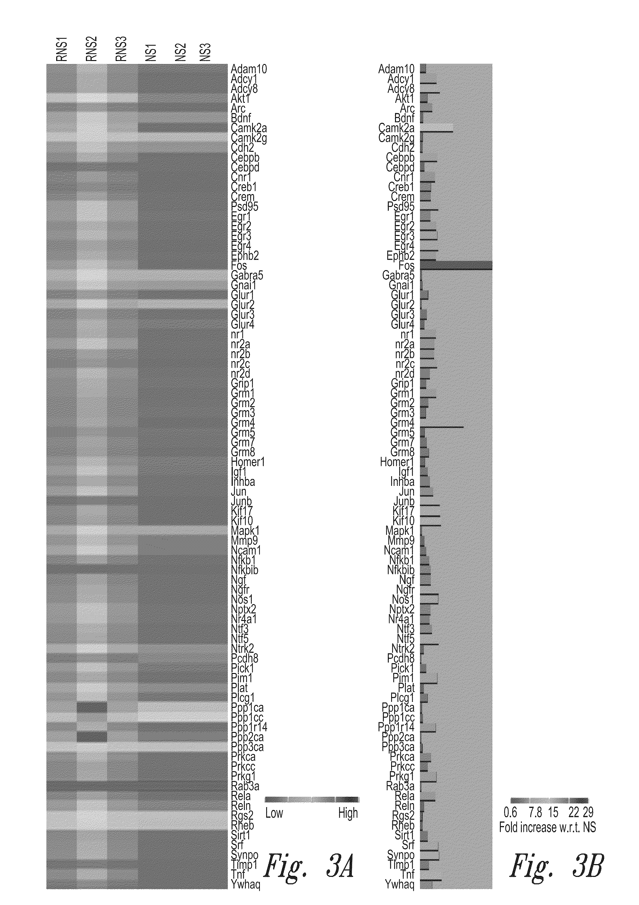 Compositions and methods for upregulating hippocampal plasticity and hippocampus-dependent learning and memory