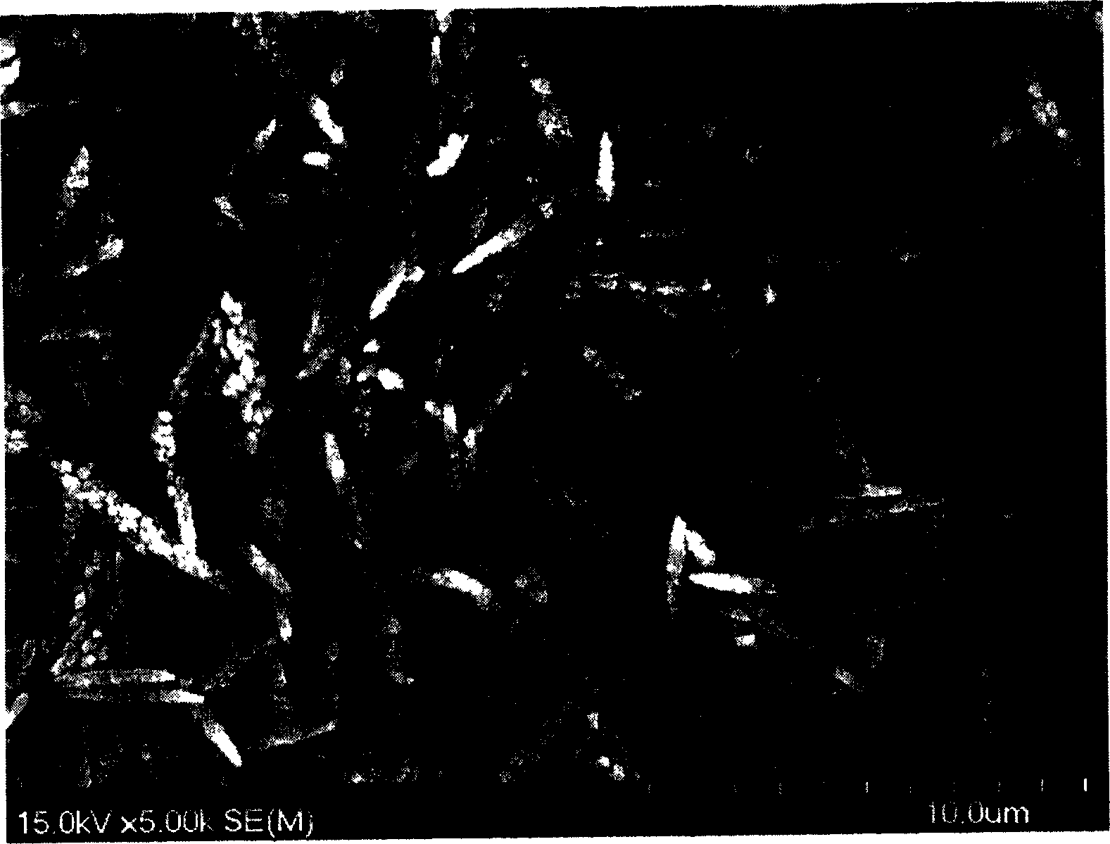 Single dispersing micron chopped fiber-like aragonite type calcium carbonate and preparation method thereof