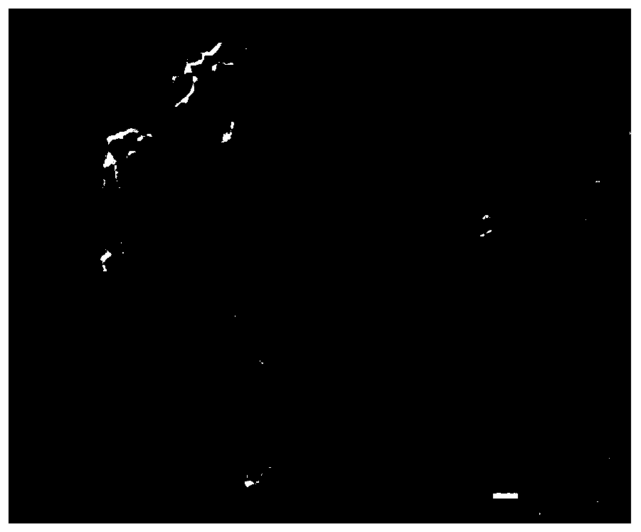 Aspergillus awamori strain and its use in the field of agricultural pest control