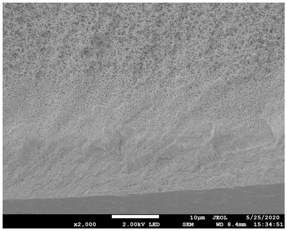 Poly(4-methyl-1-pentene) hollow fiber membrane with gradient pore structure and preparation method thereof